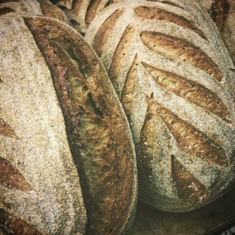 Ordine del Pane